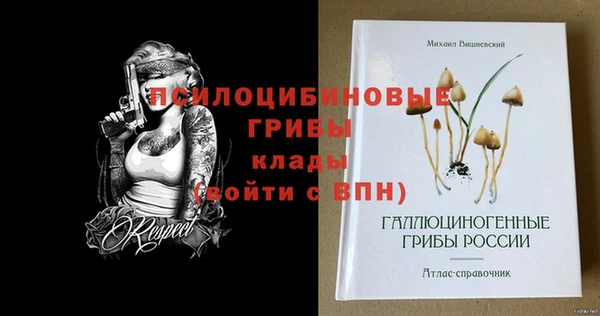 a pvp Алексин
