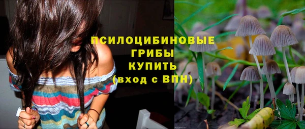 a pvp Алексин