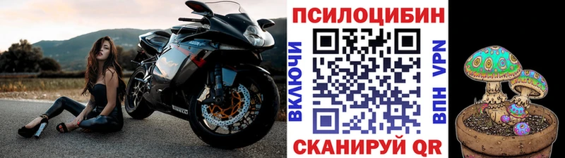 Псилоцибиновые грибы мухоморы  площадка как зайти  Бердск 